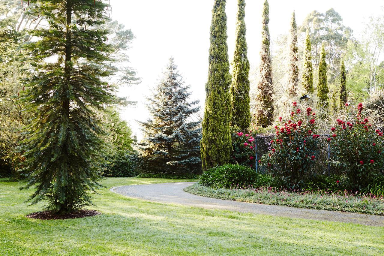 Гостевой дом Beechmont Garden Retreat Олинда Экстерьер фото