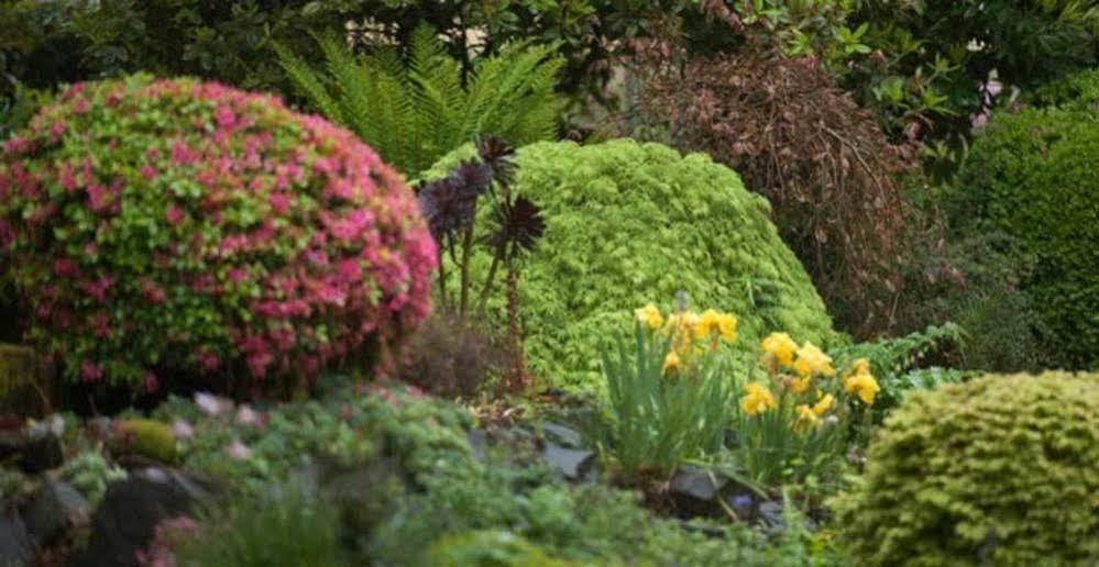 Гостевой дом Beechmont Garden Retreat Олинда Экстерьер фото