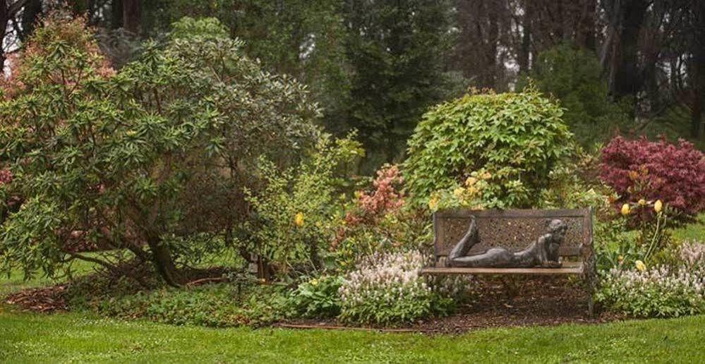 Гостевой дом Beechmont Garden Retreat Олинда Экстерьер фото
