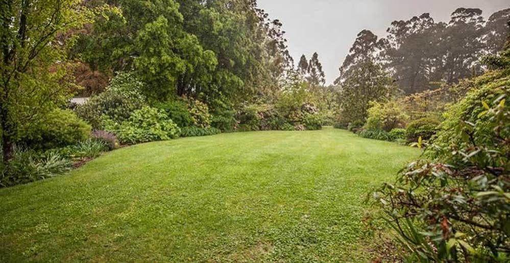 Гостевой дом Beechmont Garden Retreat Олинда Экстерьер фото