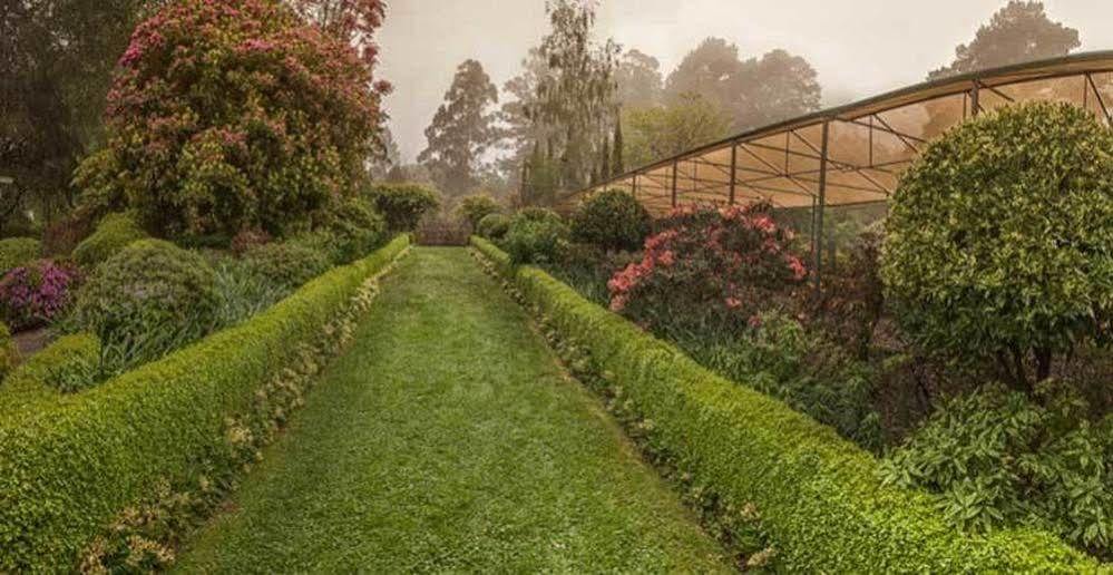 Гостевой дом Beechmont Garden Retreat Олинда Экстерьер фото